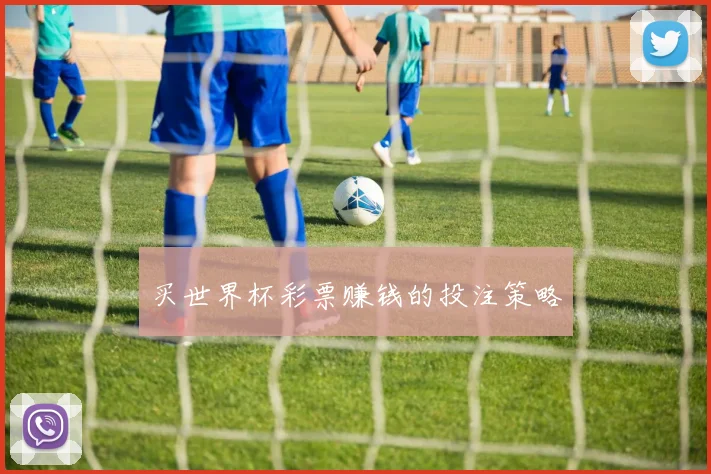 买世界杯彩票赚钱的投注策略