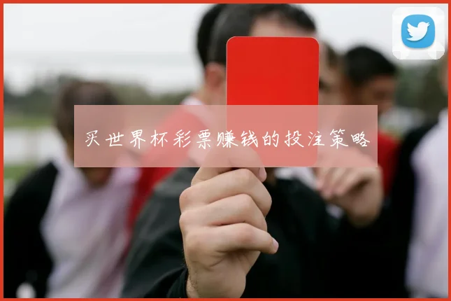 买世界杯彩票赚钱的投注策略